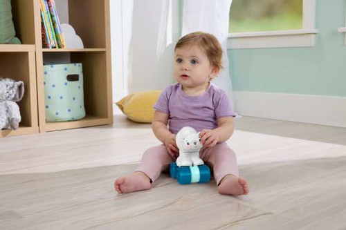 Fisher-Price 'Crawl After Me' Polar Bear on Wheels JDL63 9m+