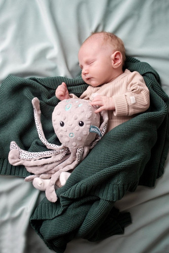 Hencz Toys Humming Toy with Cry Grey Pink Octopus 0+