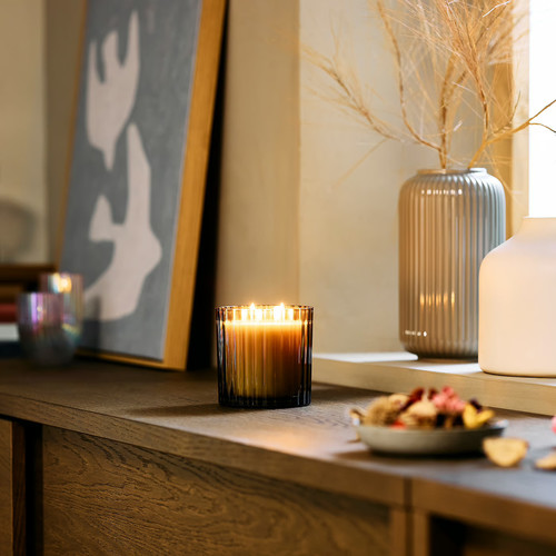 TOFSTÄRNA Scented candle in glass, 2 wicks, Fig leaf brown, 50 hr