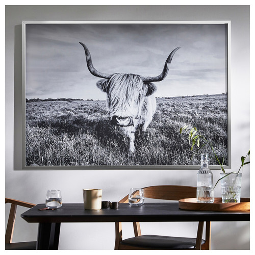 BJÖRKSTA Picture with frame, curious cow/aluminium-colour, 140x100 cm