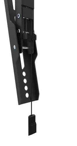 NewStar TV Wall Mount 32-65" 60kg WL35-550BL14