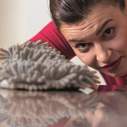 Microfiber Dusting Glove