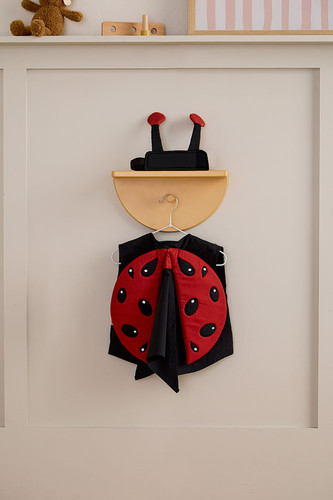 Kid's Concept Ladybug Costume 3+