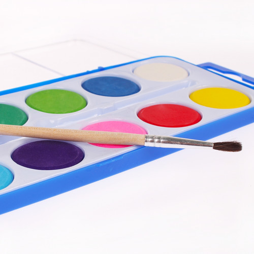 Water Colour Water Paint Set 12 Colours Doggy