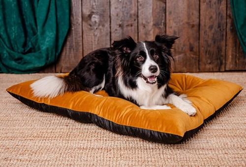 MIMIKO Pets Dog Cushion Velvet 100x70cm, mustard
