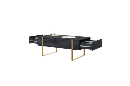 Coffee Table with 2 Drawers Verica, charcoal/gold legs