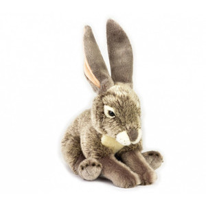 Plush Toys