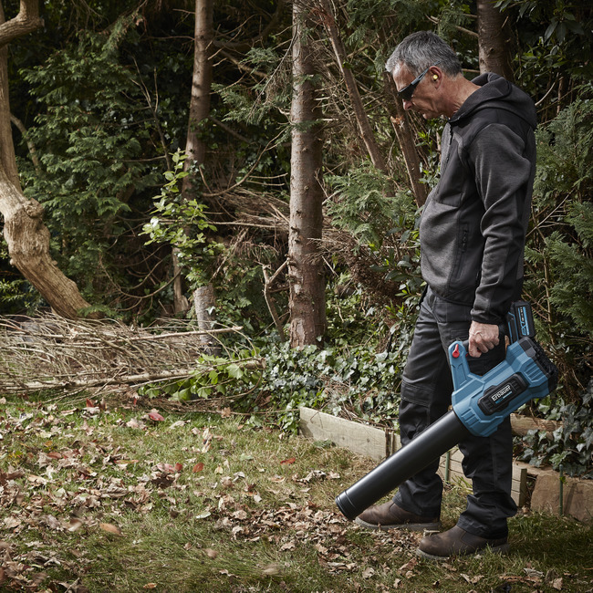 Erbauer cordless chainsaw online